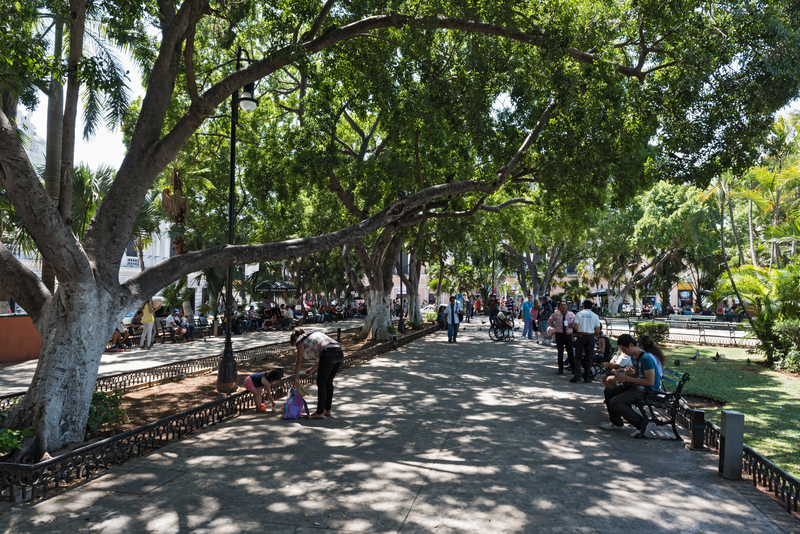 Visiter Mérida au Mexique : les choses à voir et à faire
