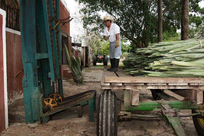 Merida, Yucatan : que faire dans cette ville du Mexique en 2023 ?