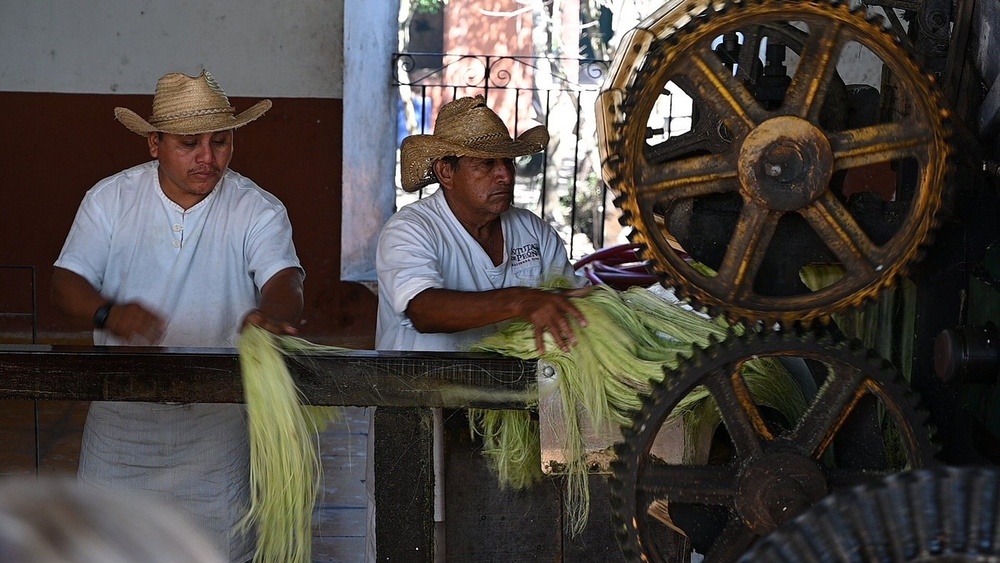 Fabrication de la fibre