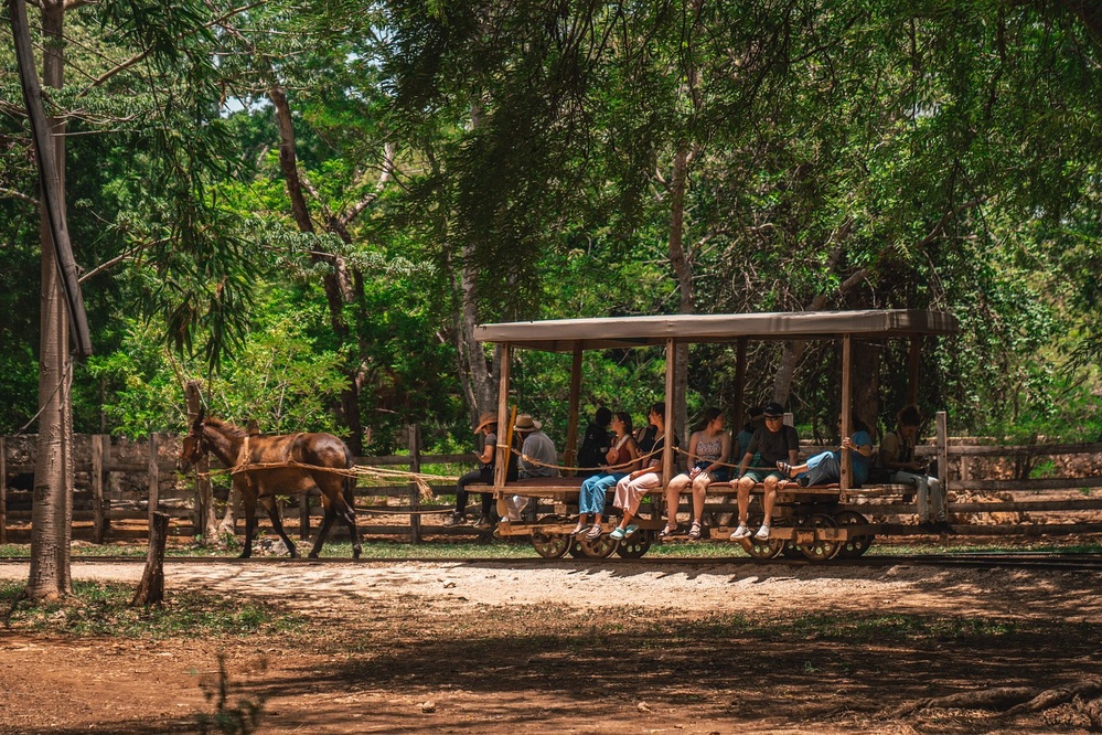 Balade à cheval