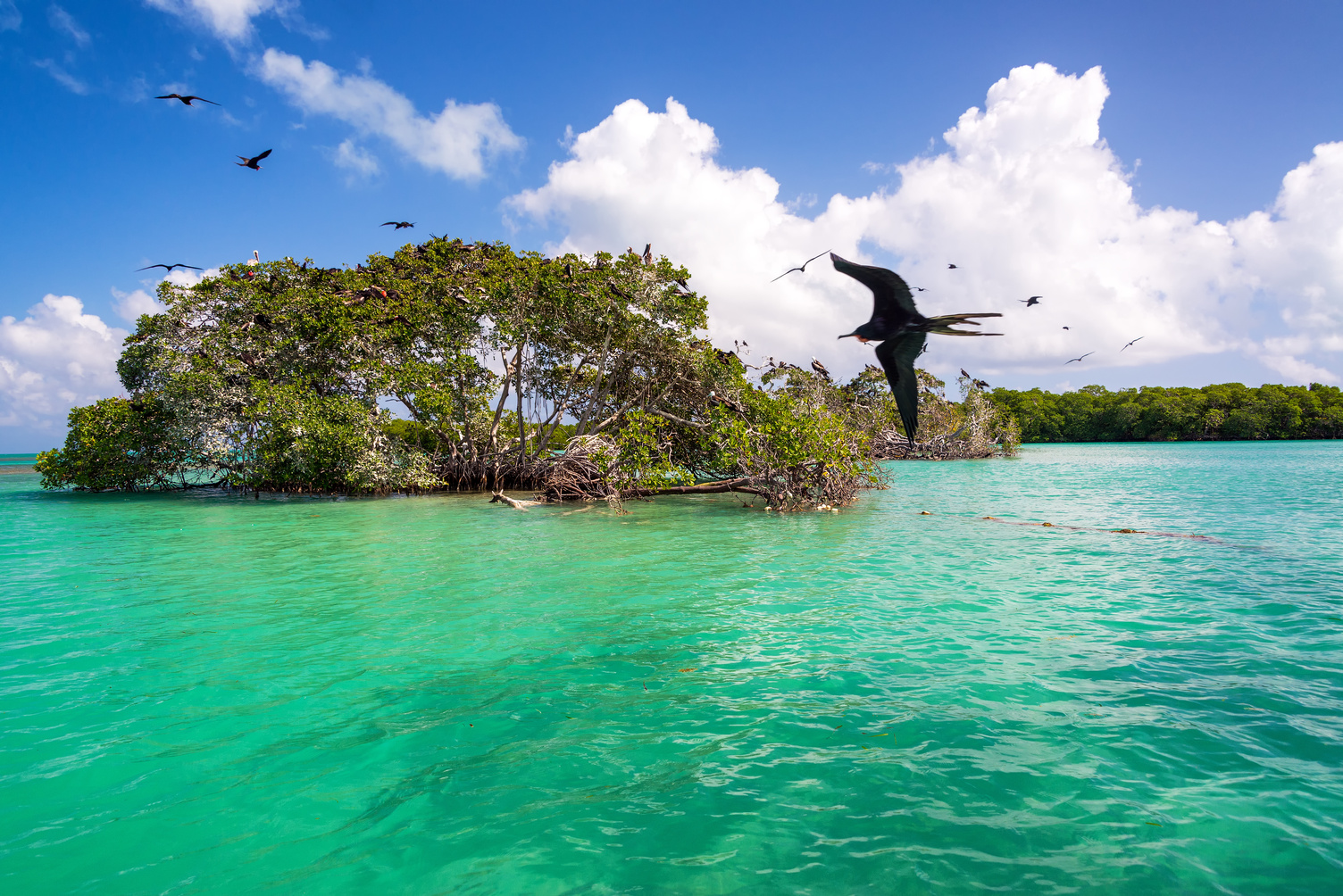 8 activités à faire à Tulum en famille ou à deux