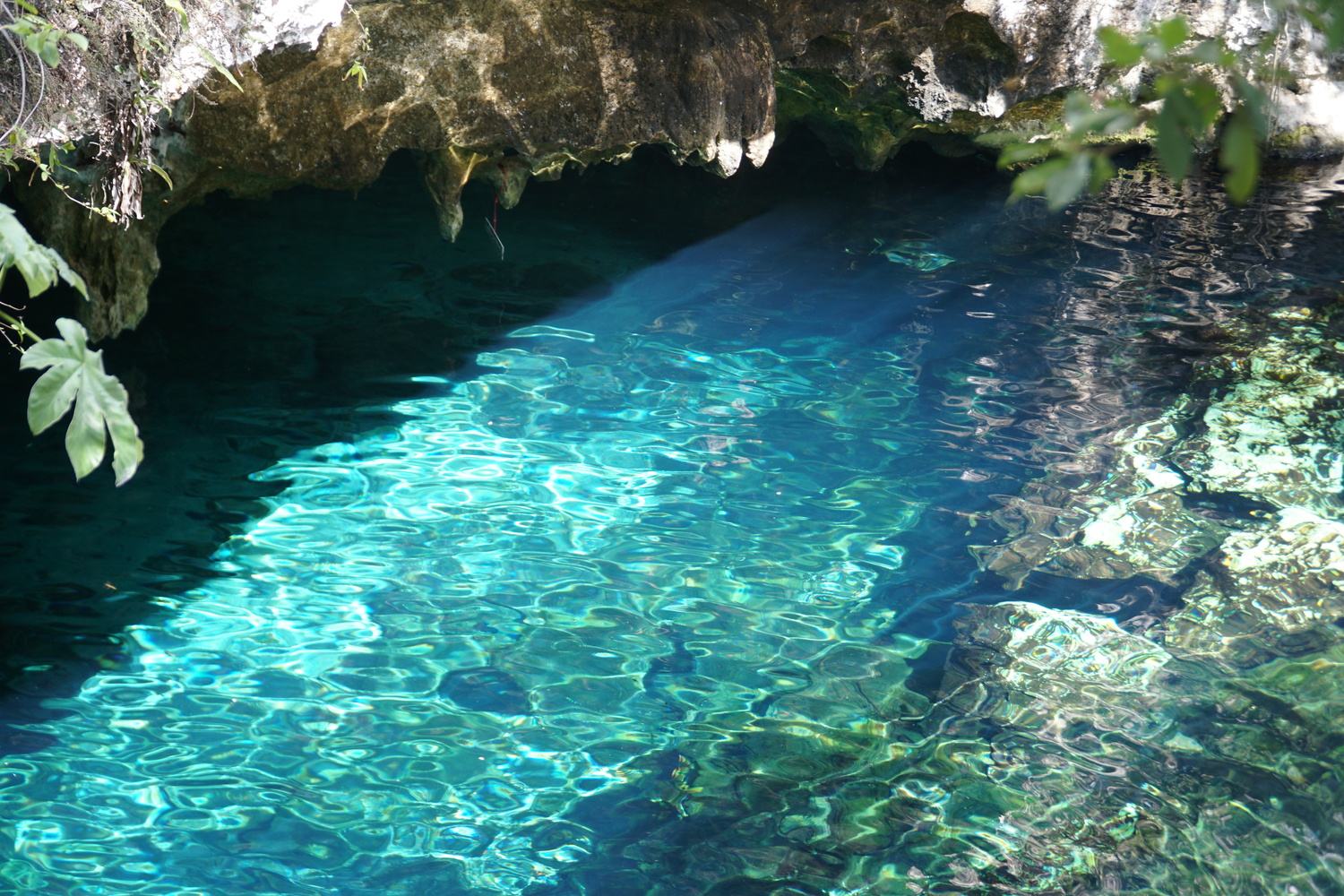 gran cenote