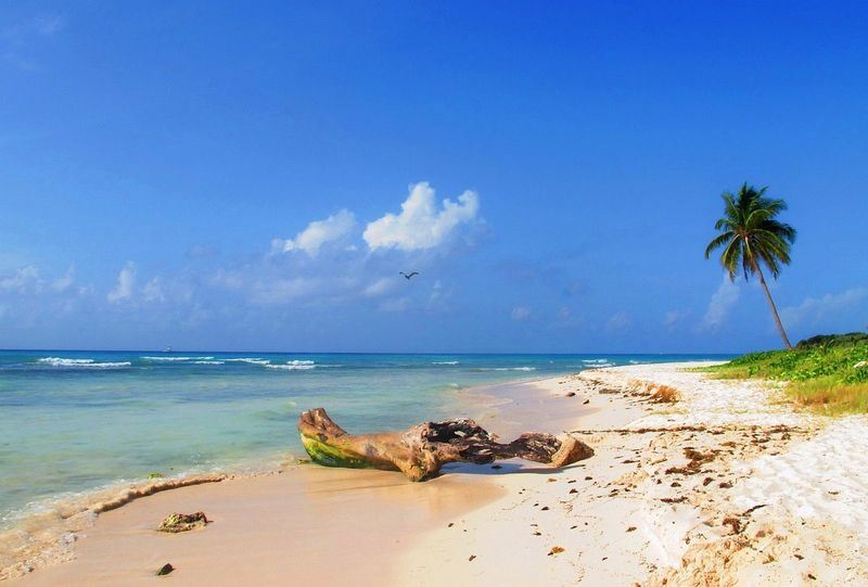 Plage de Punta Esmeralda