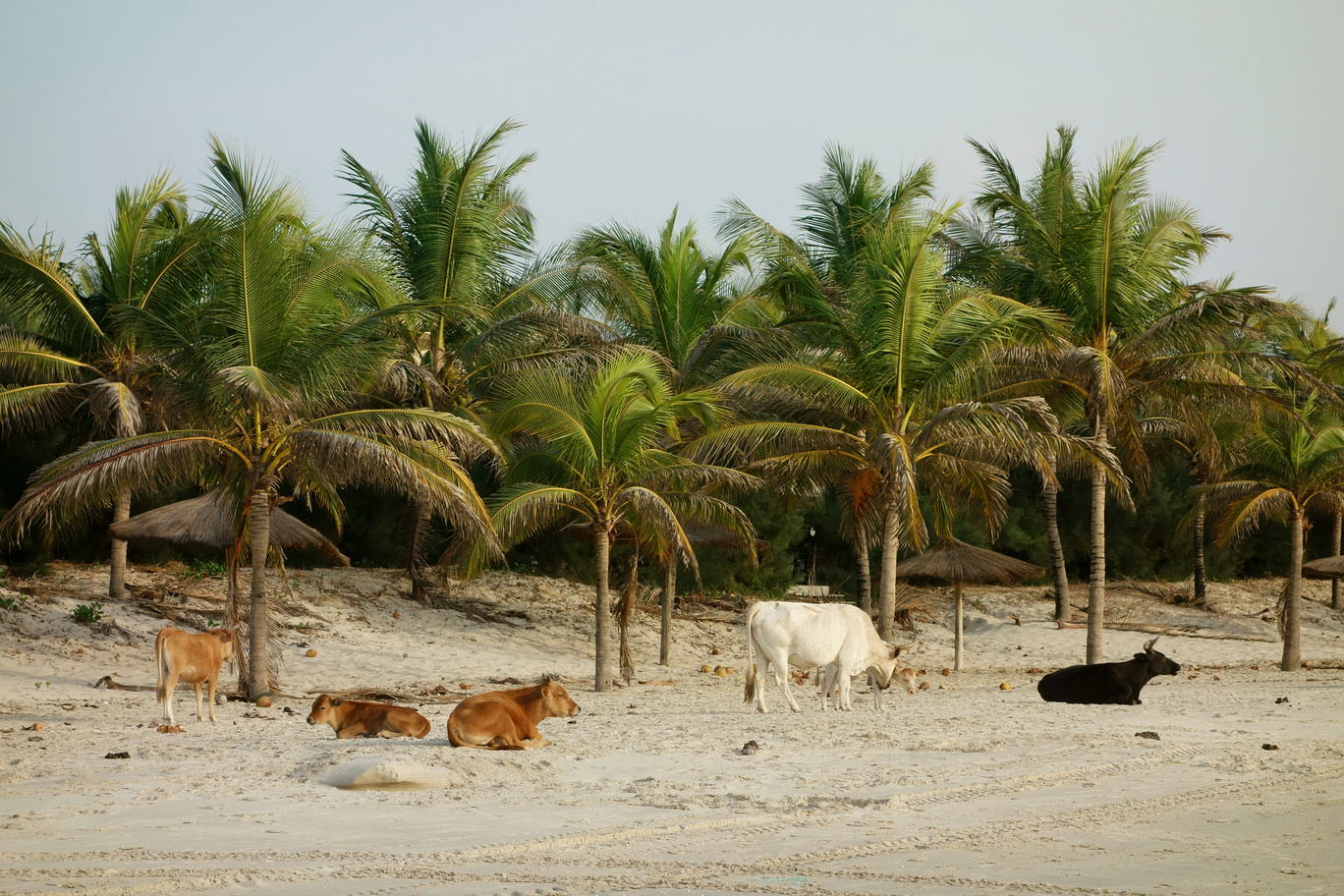 Visiter la Casamance, la plus belle région du Sénégal