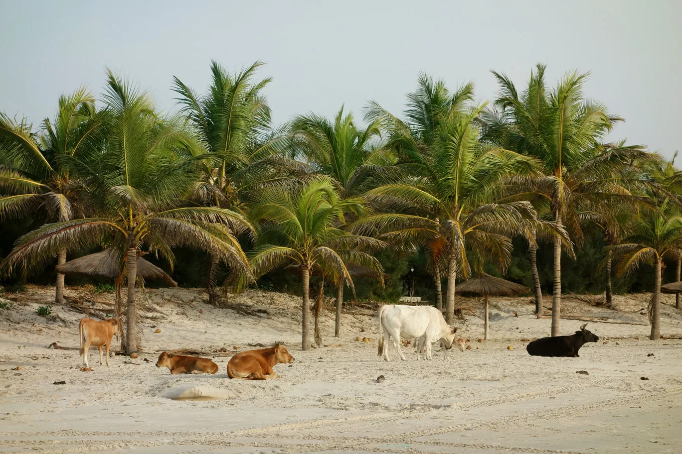Visiter la Casamance, la plus belle région du Sénégal