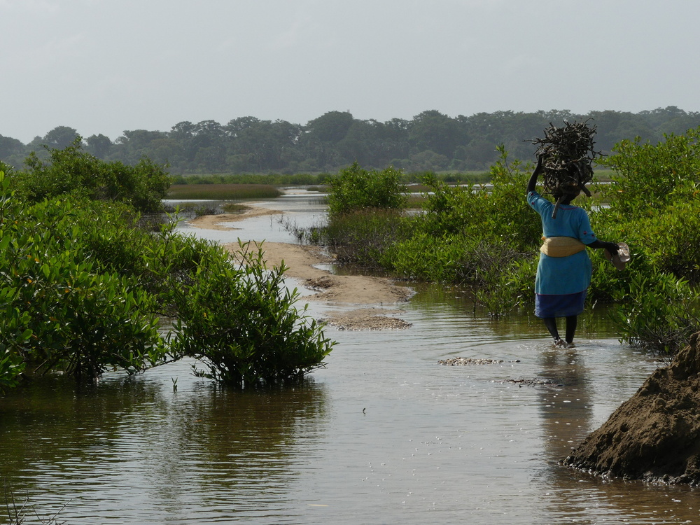 Visiter la Casamance, la plus belle région du Sénégal