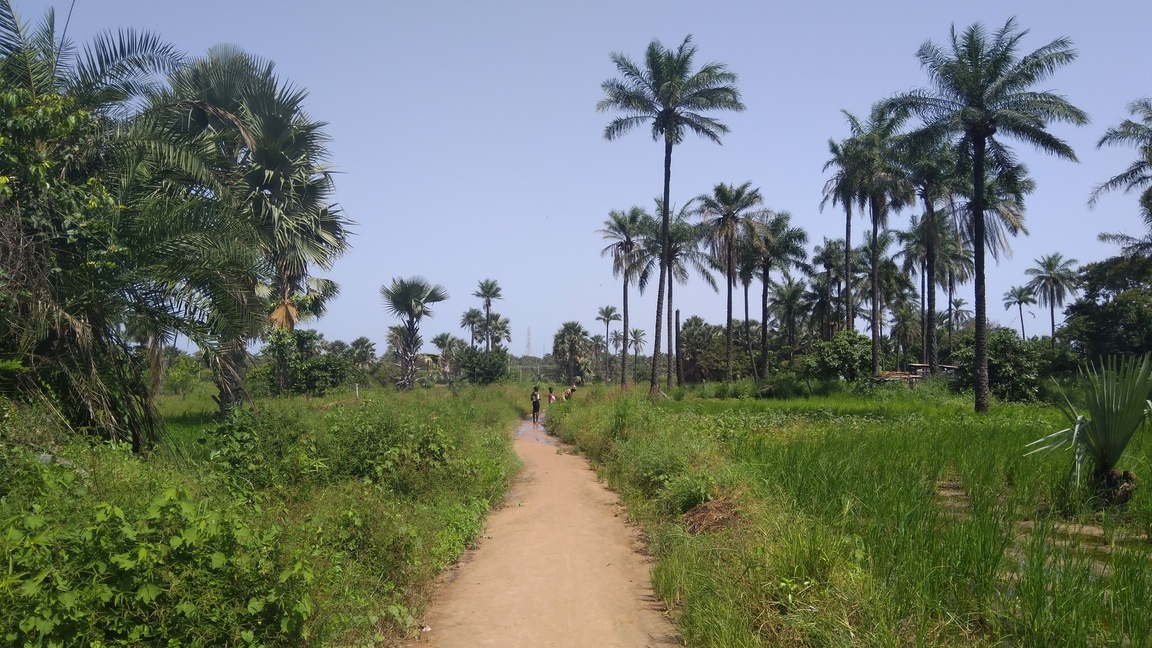 balade casamance sénégal secretoo