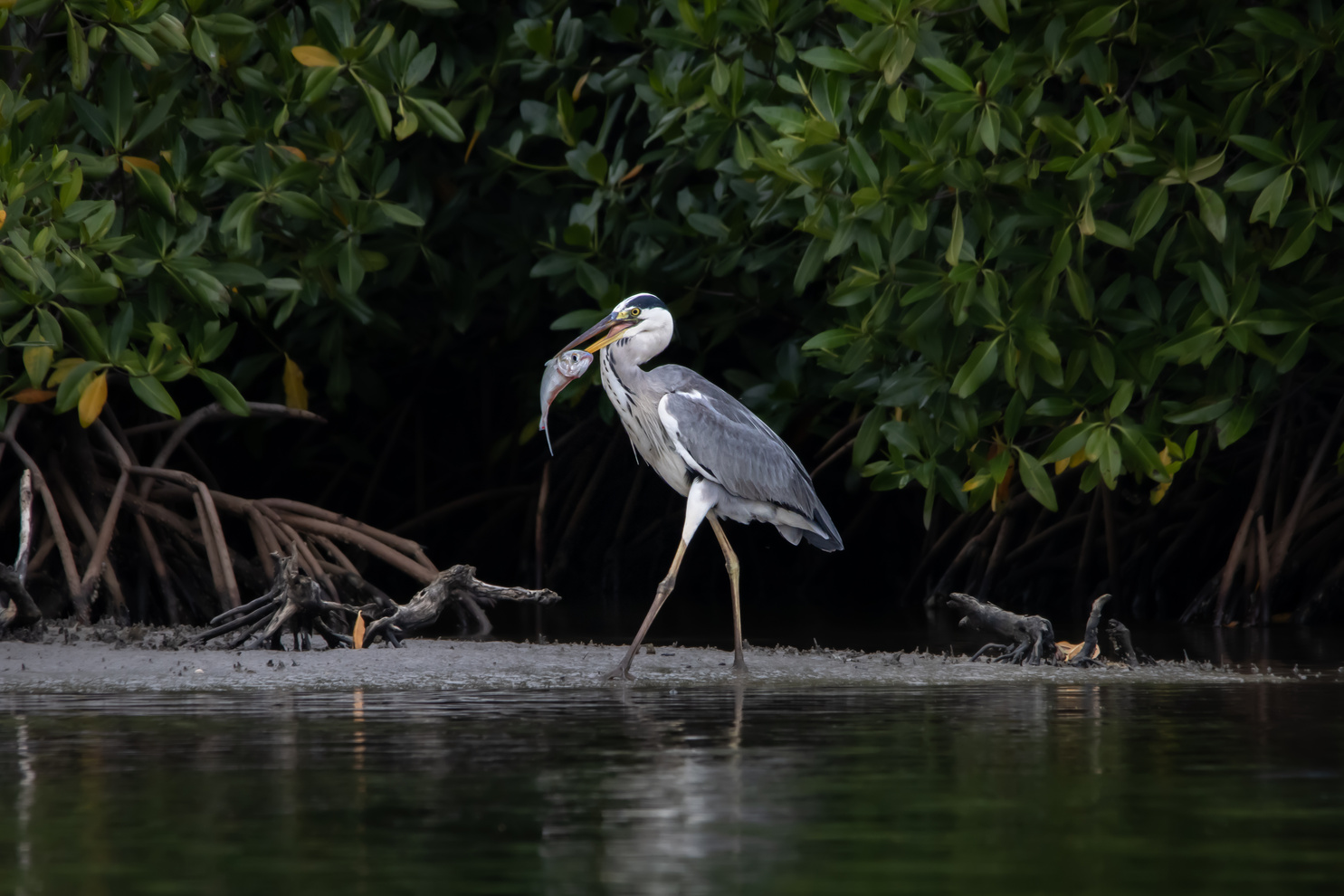 Visiter la Casamance, la plus belle région du Sénégal