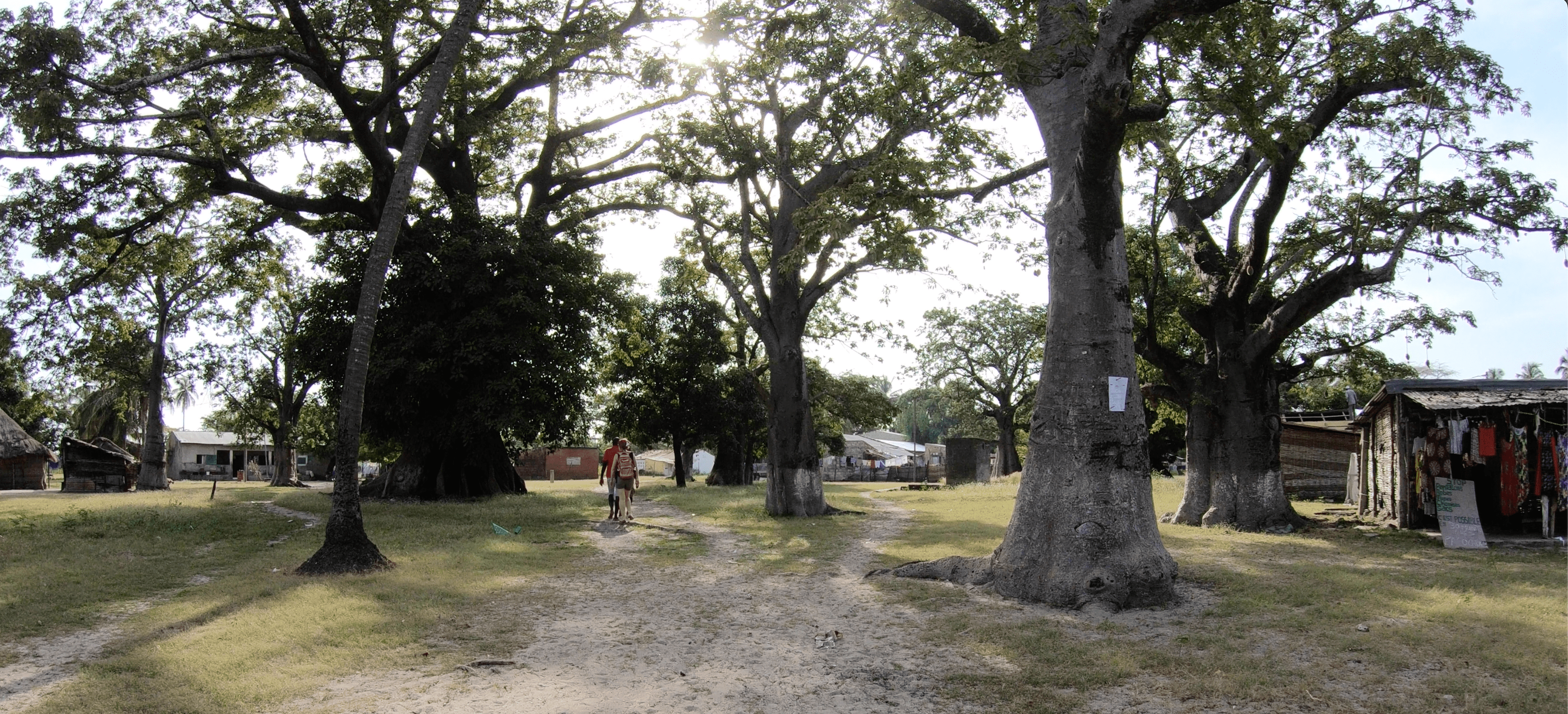 visiter la casamance avec secretoo