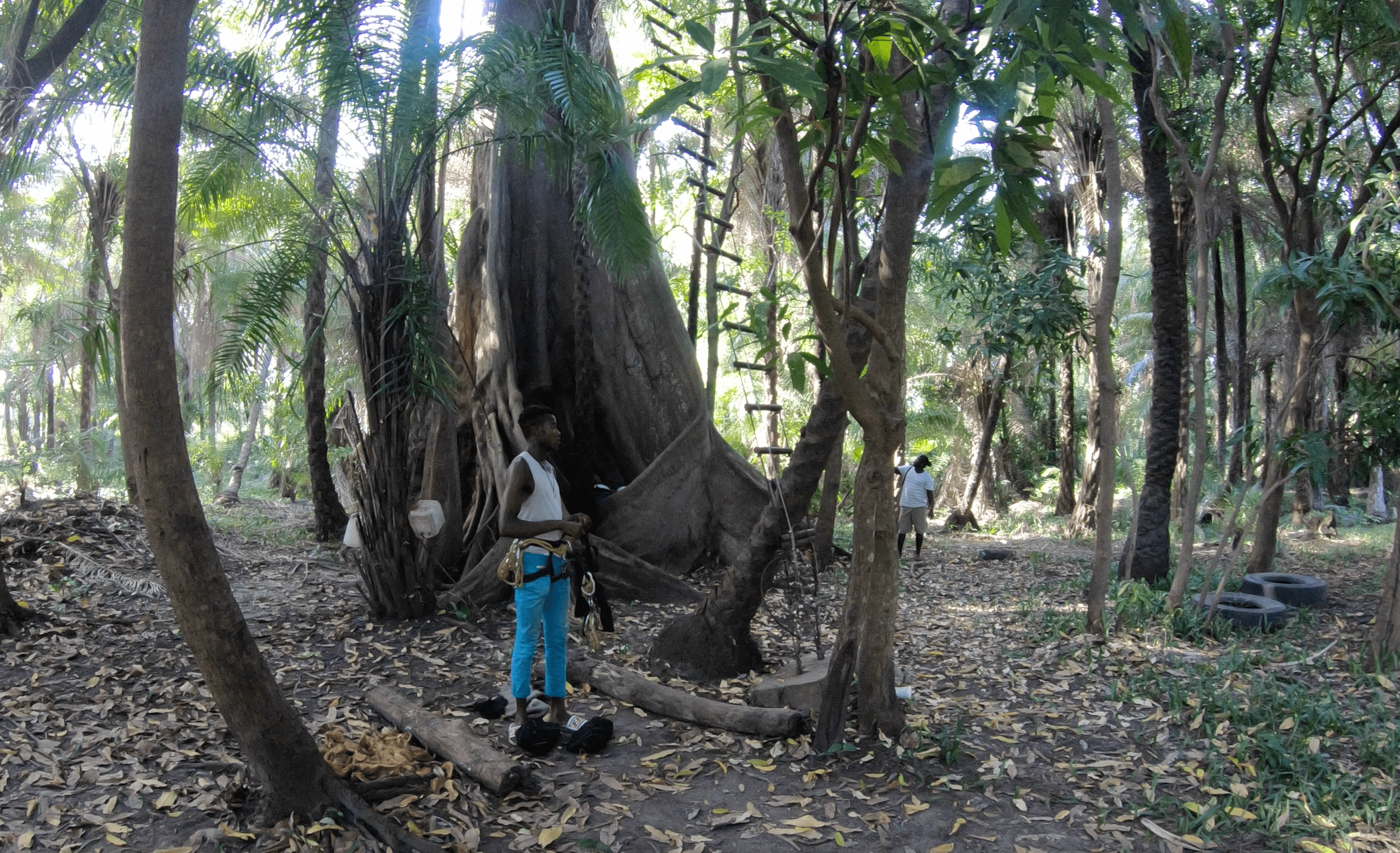 Visiter la Casamance, la plus belle région du Sénégal