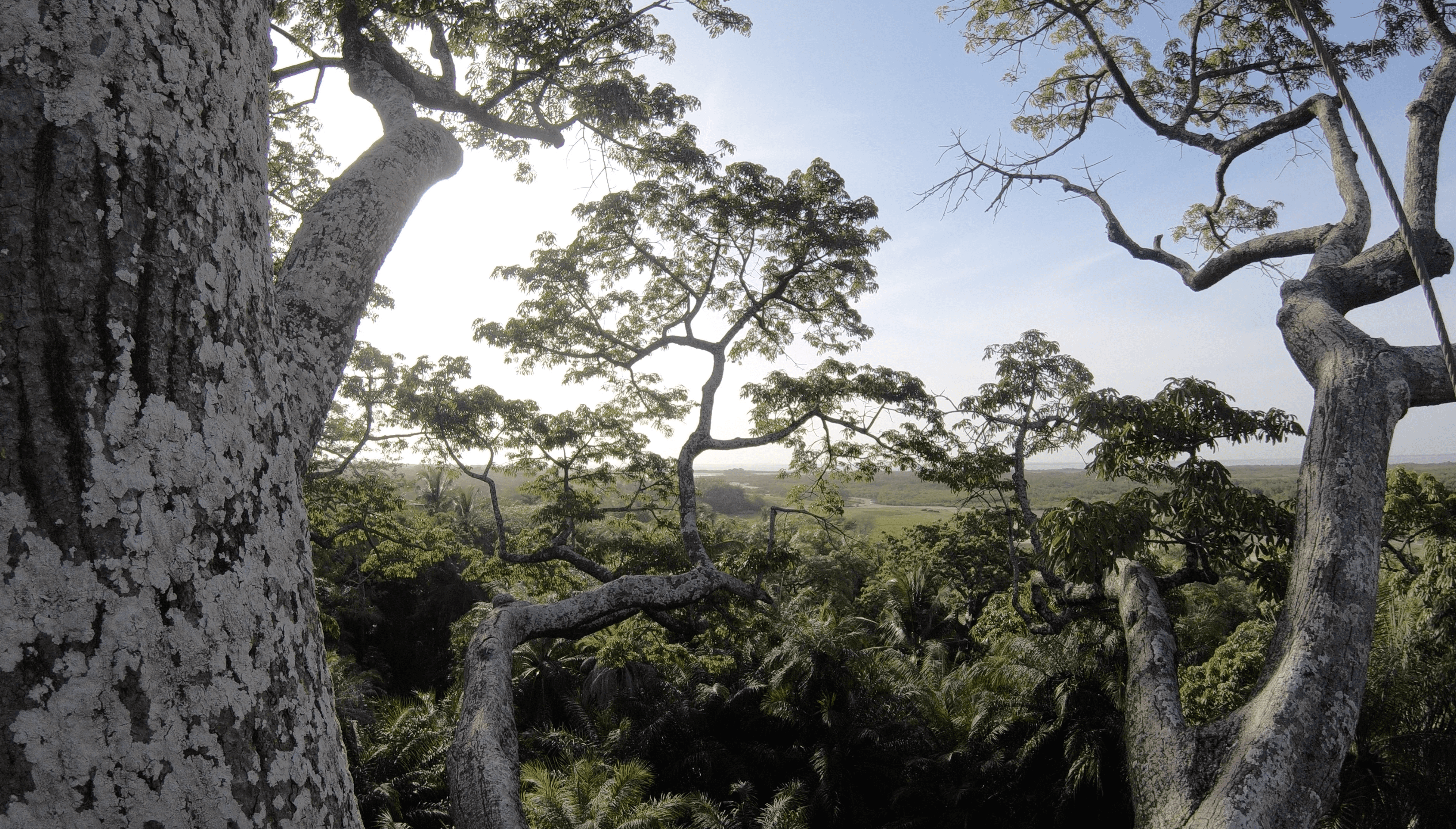 Visiter la Casamance, la plus belle région du Sénégal