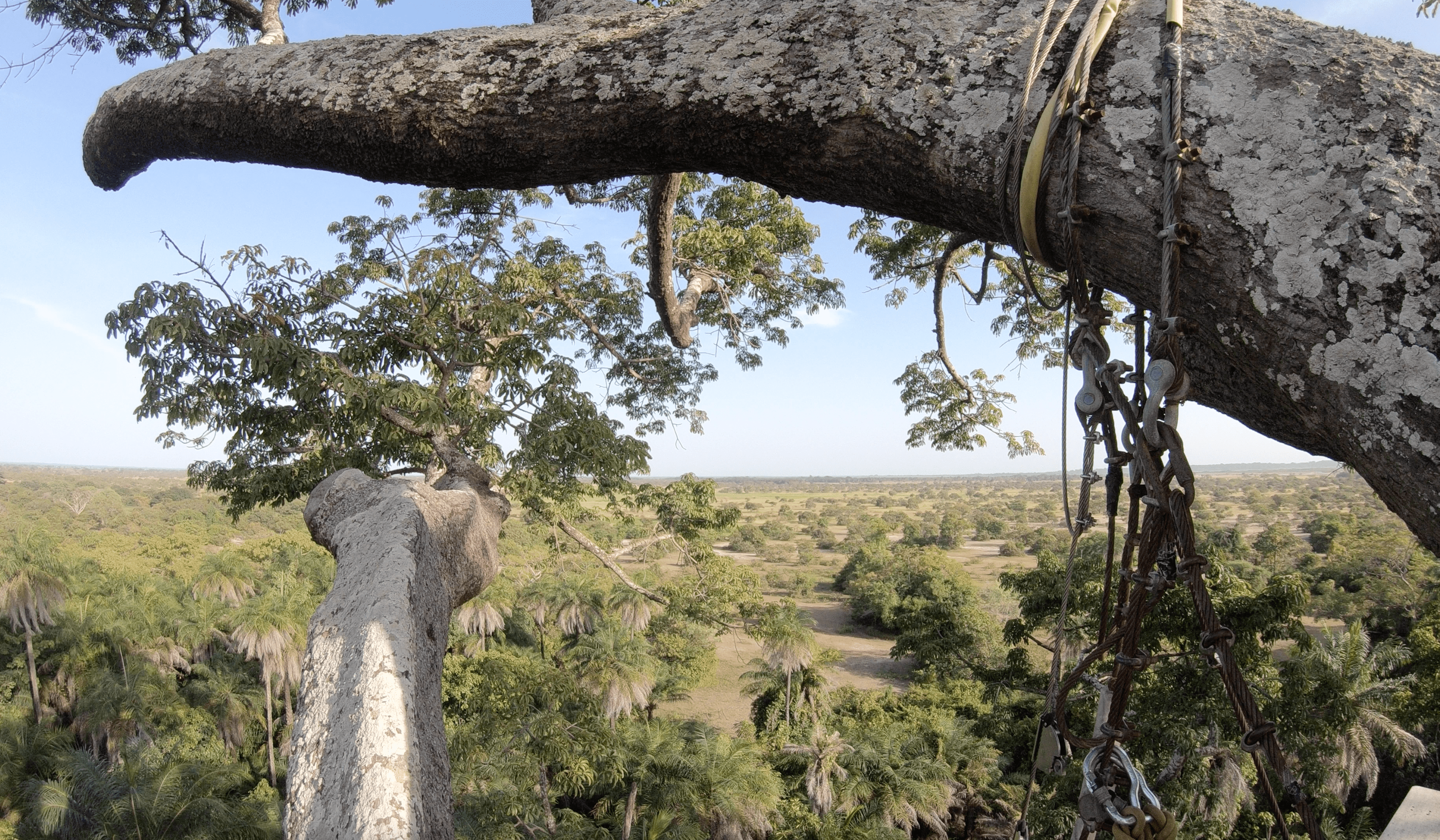 Visiter la Casamance, la plus belle région du Sénégal