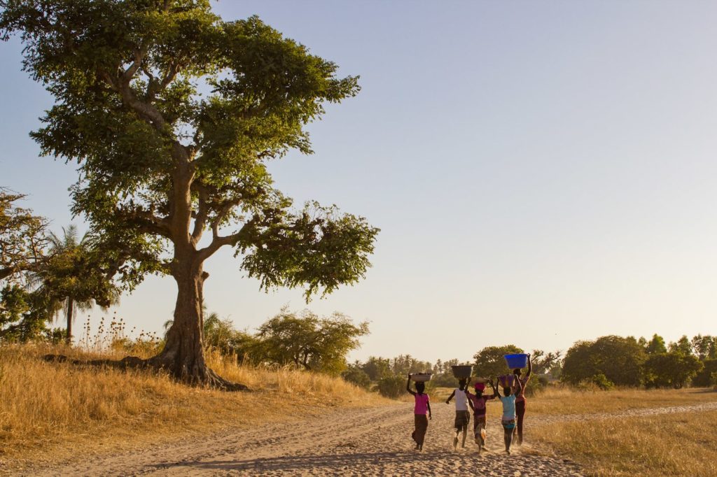 guide voyage sénégal