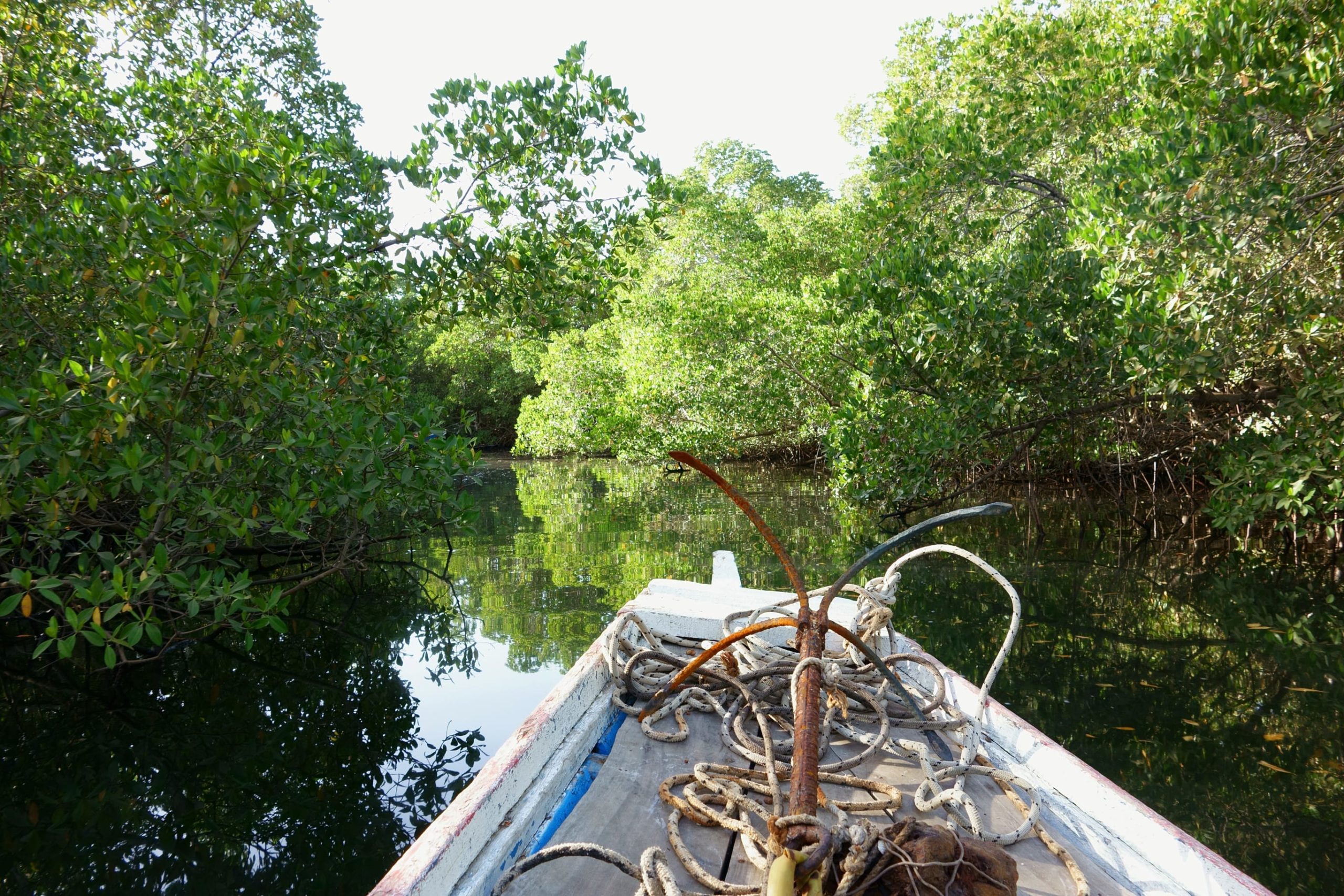 sine saloum sénégal