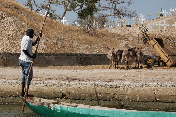 île aux coquillages sénégal