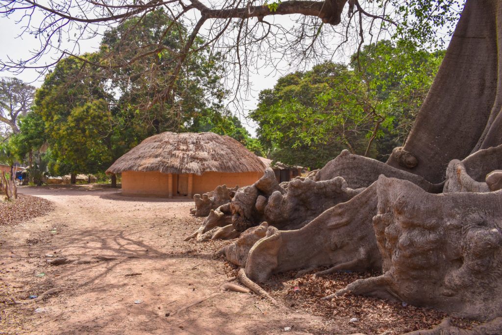 casamance sénégal