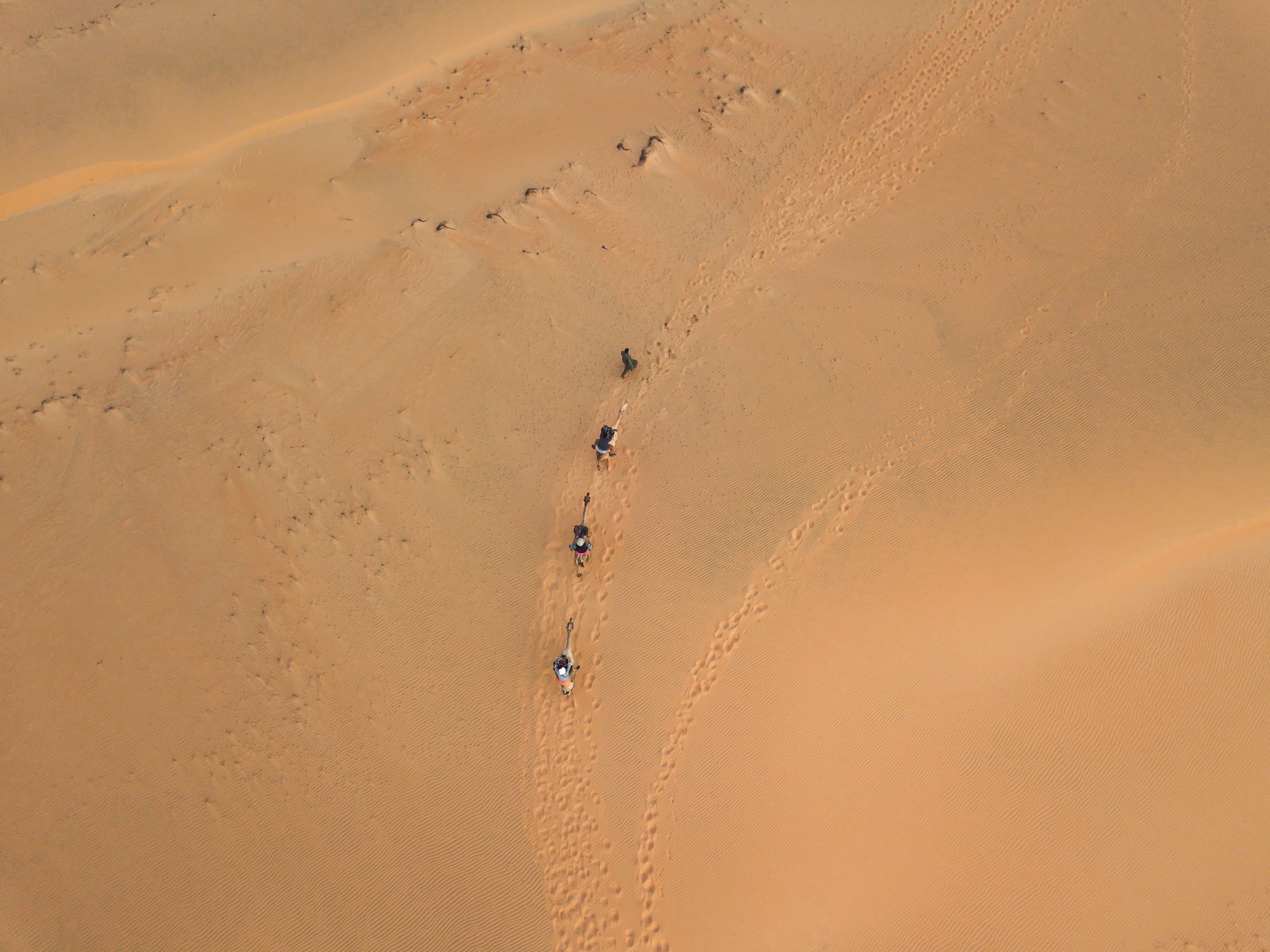 désert de lompoul sénégal