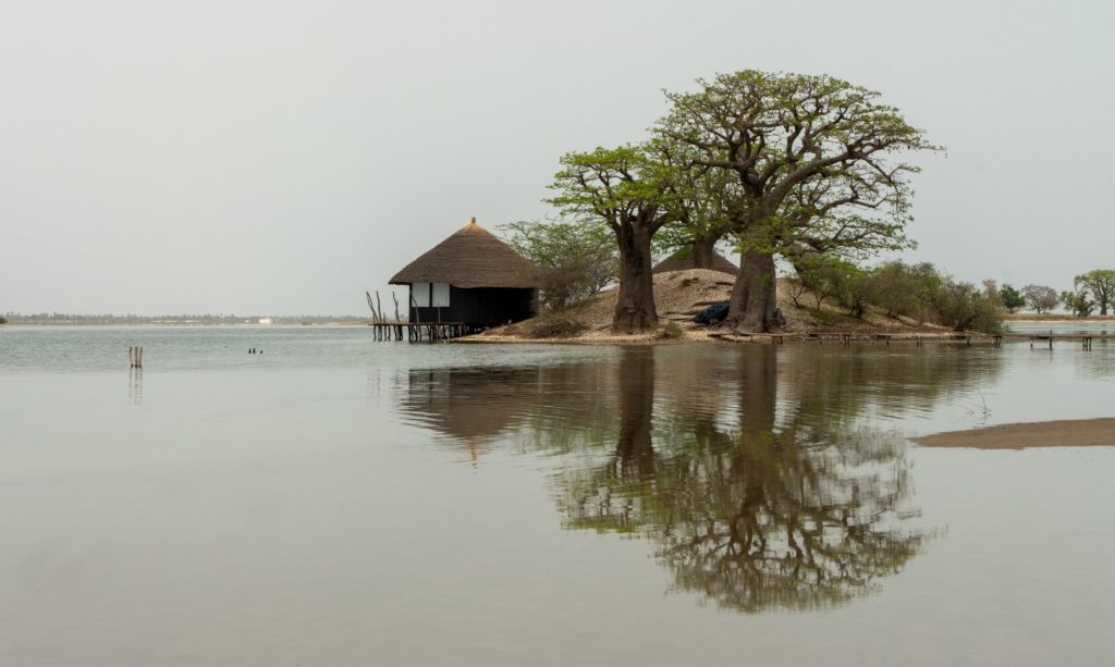 que faire au sénégal ?