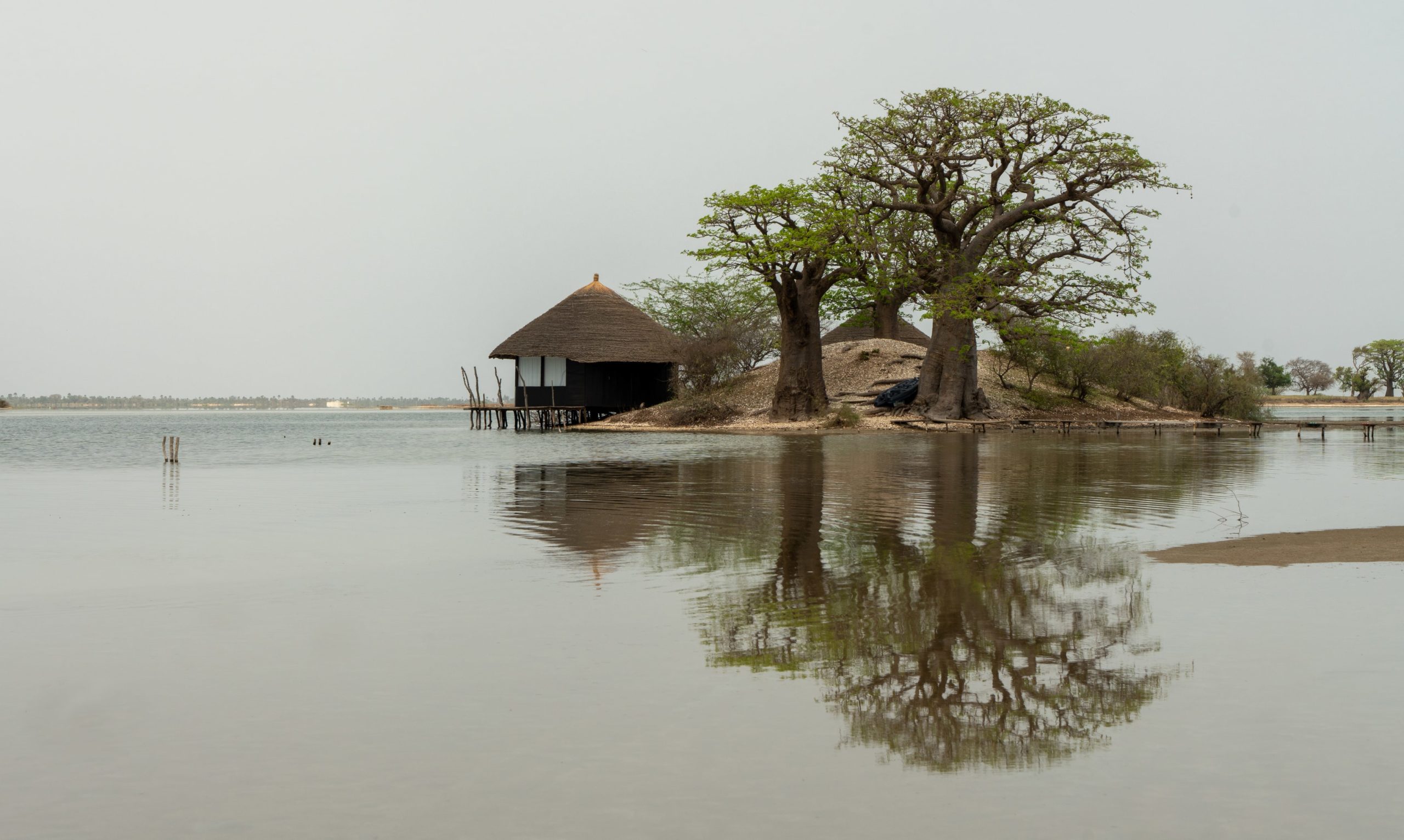 sine saloum sénégal