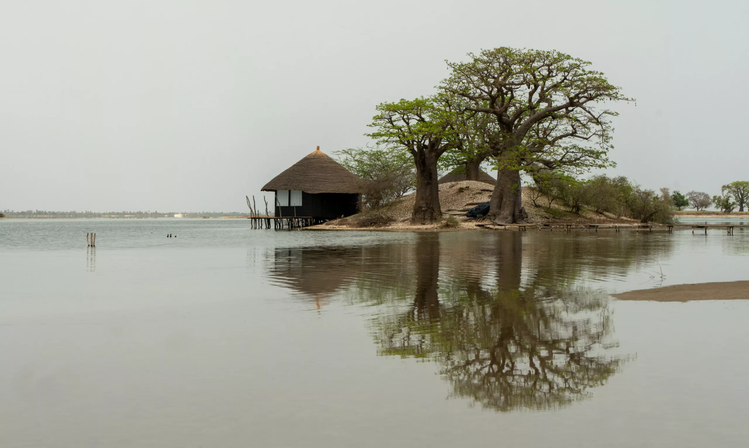 sine saloum sénégal