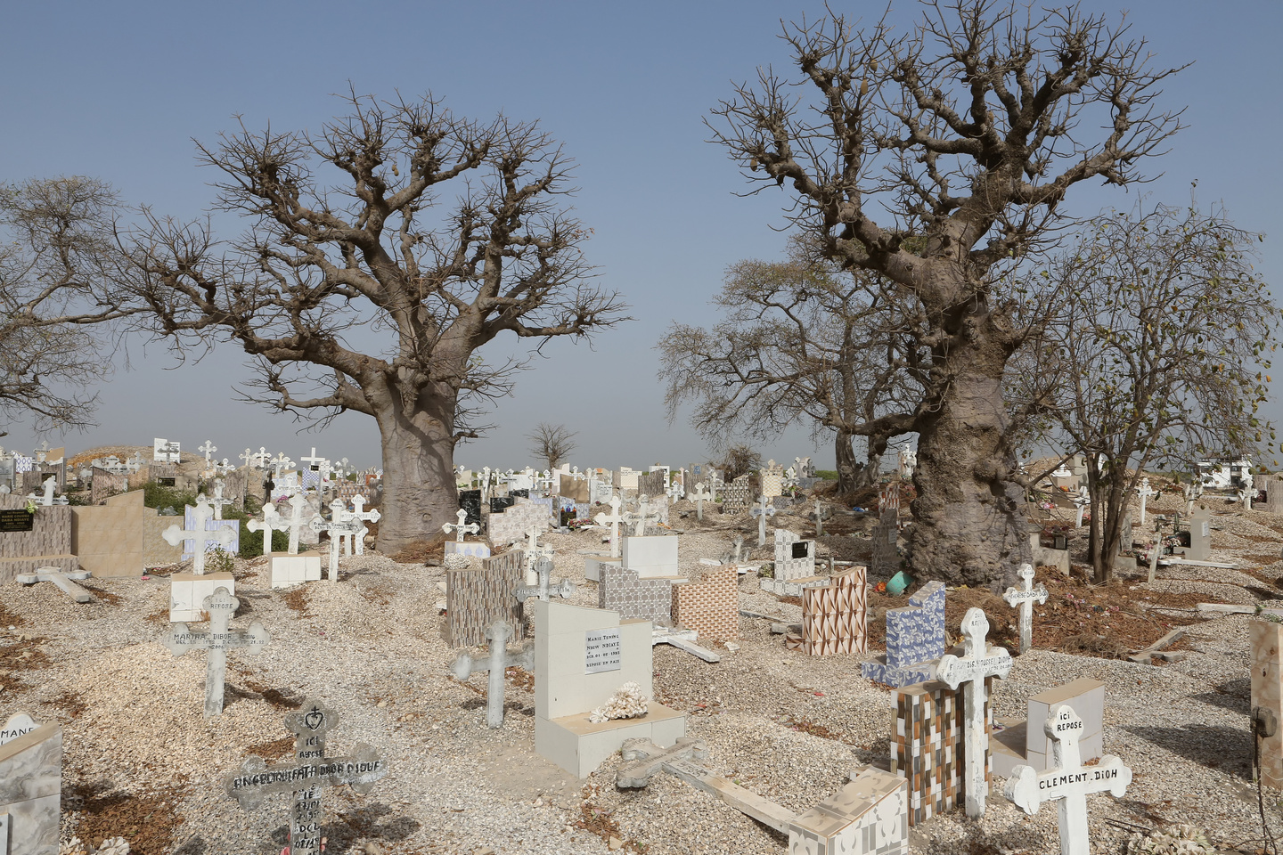 île aux coquillages sénégal