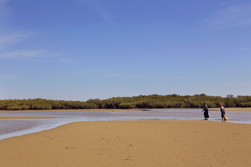 que faire au sénégal ?