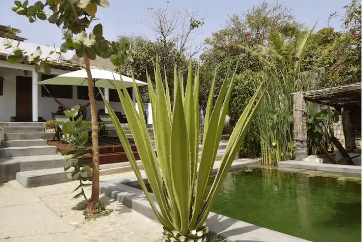 Visiter le Sénégal en 10 jours : quelles étapes