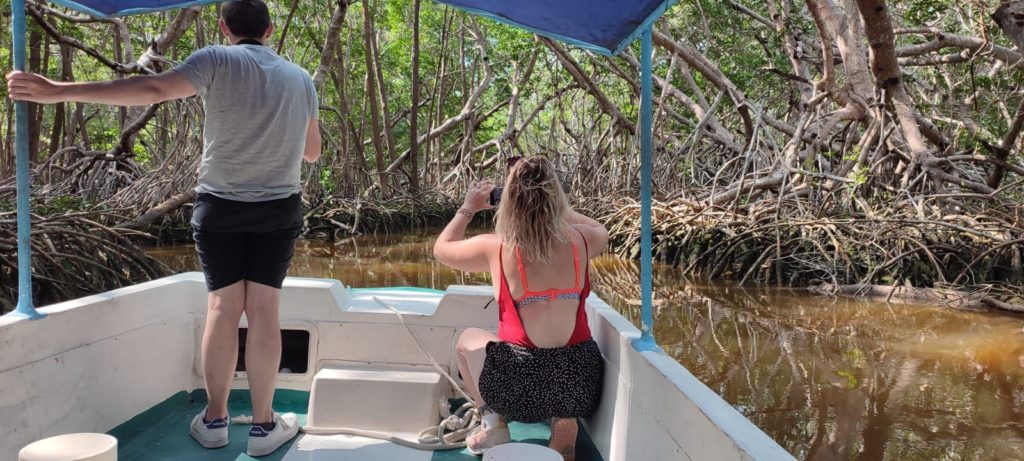 Sortie en bateau dans la mangrove