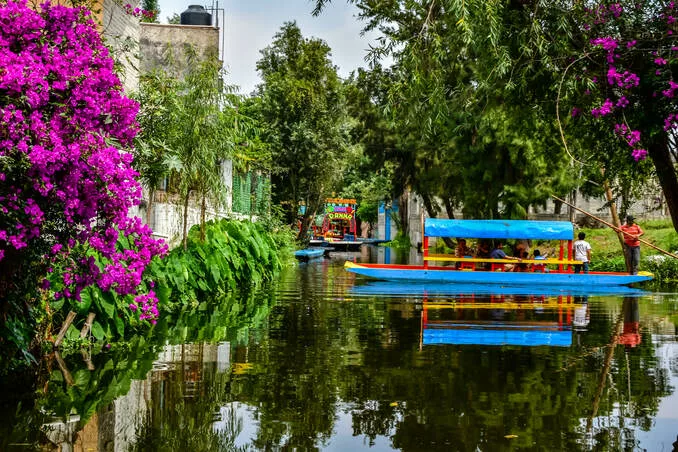 Jardins flottants