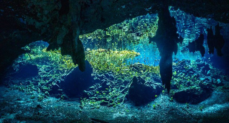 Gran Cenote