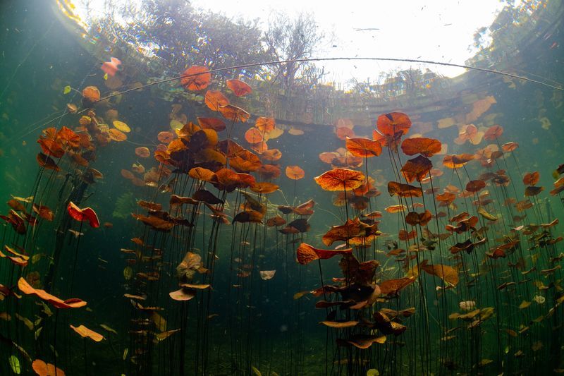 Cenote Carwash