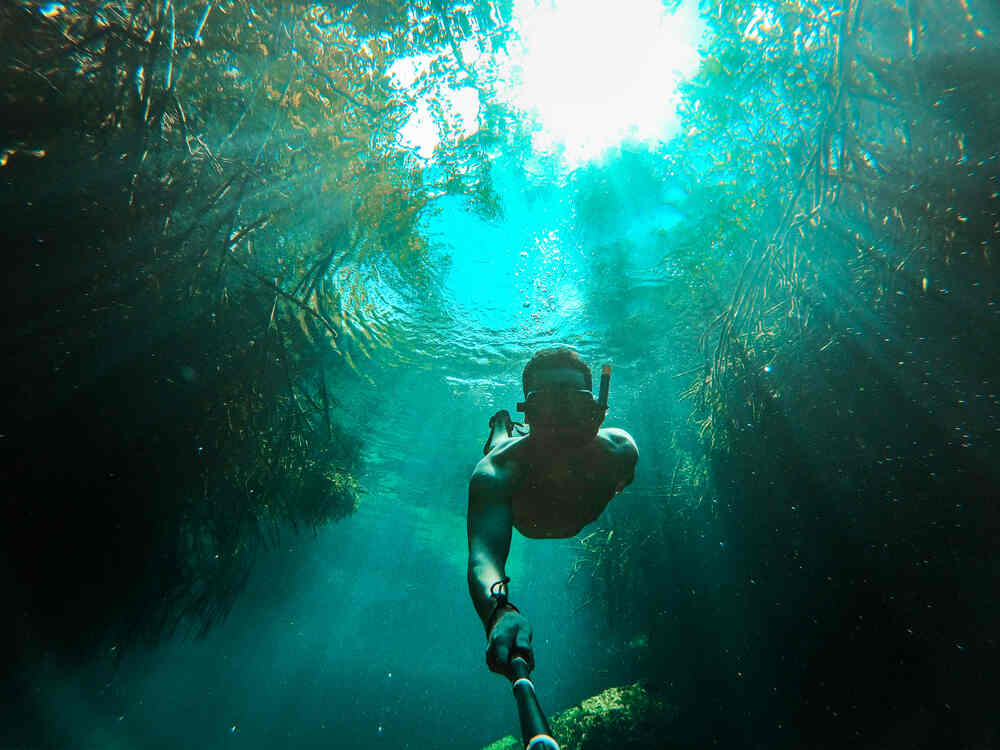 Le TOP 15 des plus beaux cenotes autour de Playa del Carmen