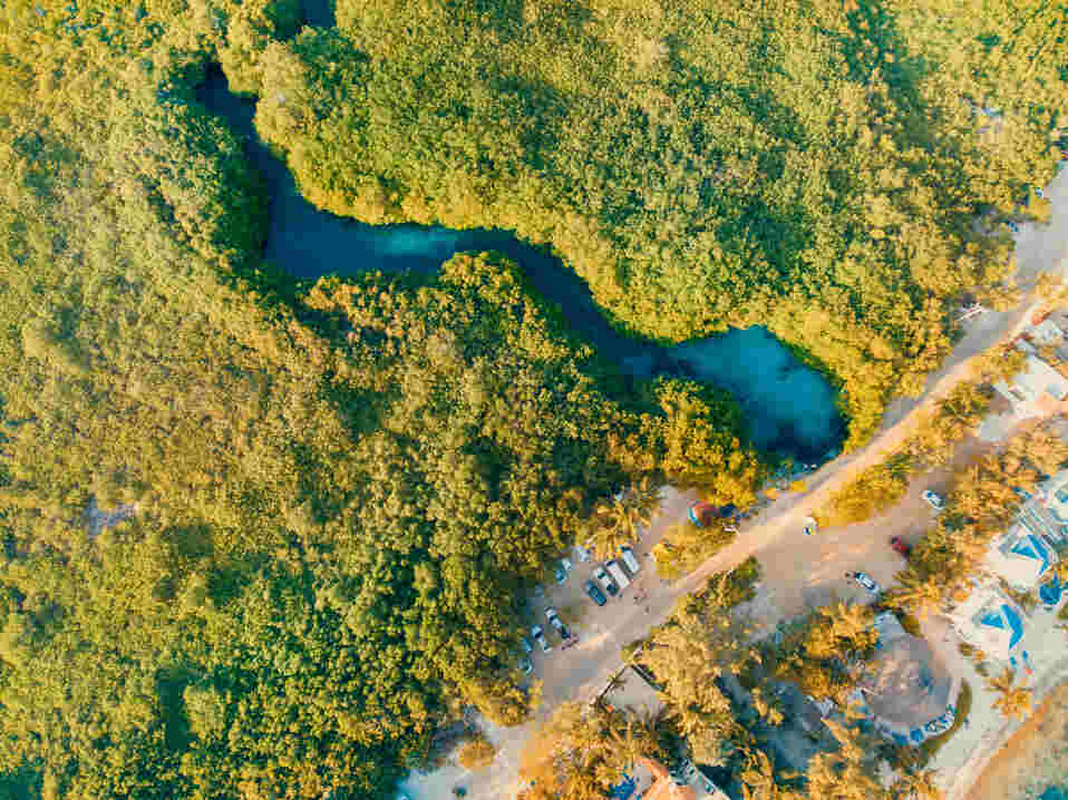 Le TOP 15 des plus beaux cenotes autour de Playa del Carmen