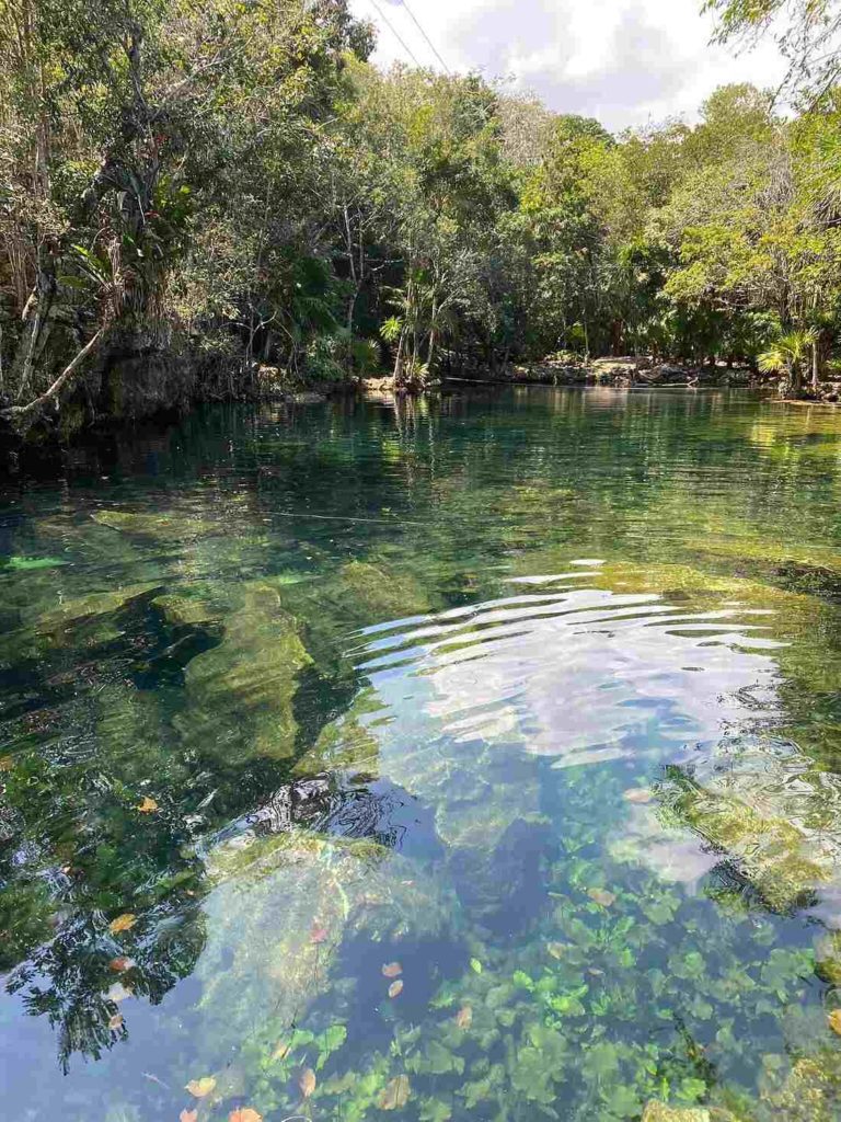 Le TOP 15 des plus beaux cenotes autour de Playa del Carmen