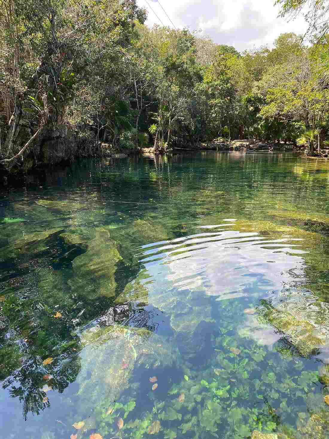 cenotes cancun