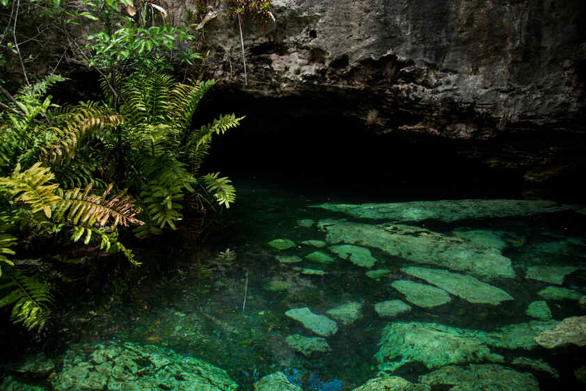 cenote cristalino