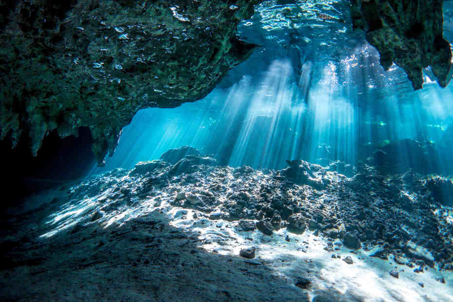 Le TOP 15 des plus beaux cenotes autour de Playa del Carmen