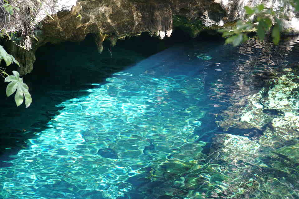 Le TOP 15 des plus beaux cenotes autour de Playa del Carmen