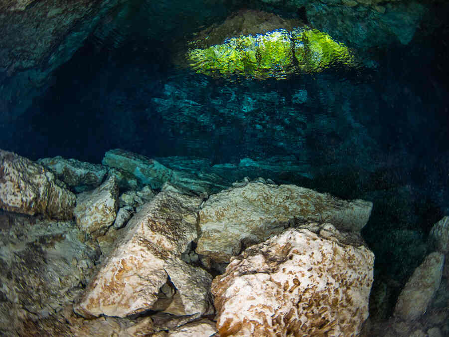 Le TOP 15 des plus beaux cenotes autour de Playa del Carmen