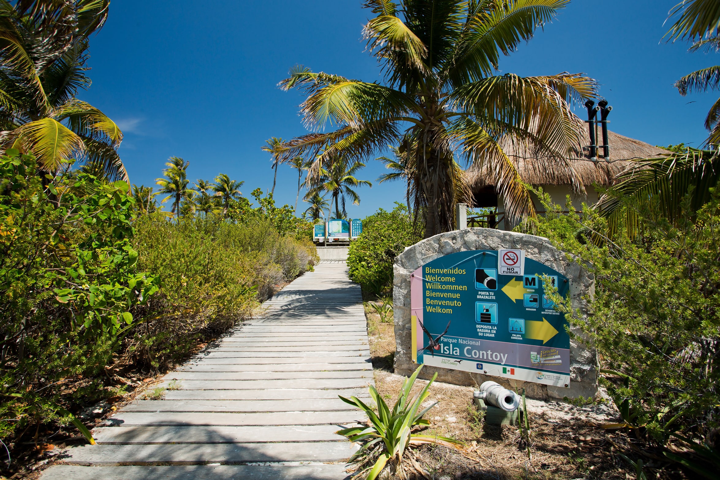 Les îles de la Riviera Maya