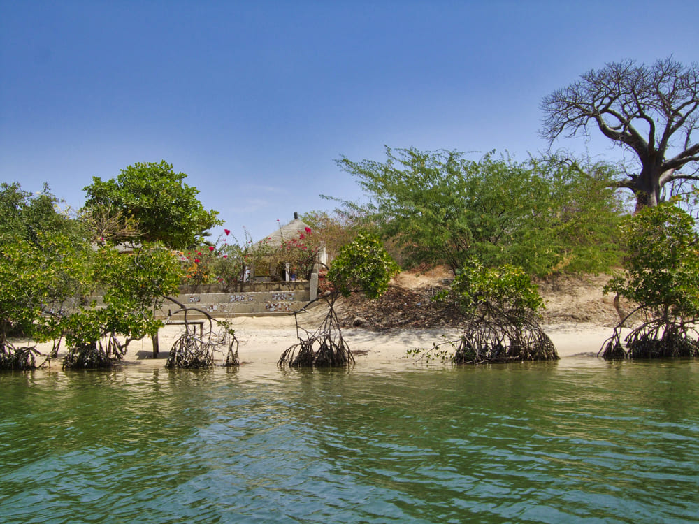 Visiter la Casamance, siné saloum secretoo