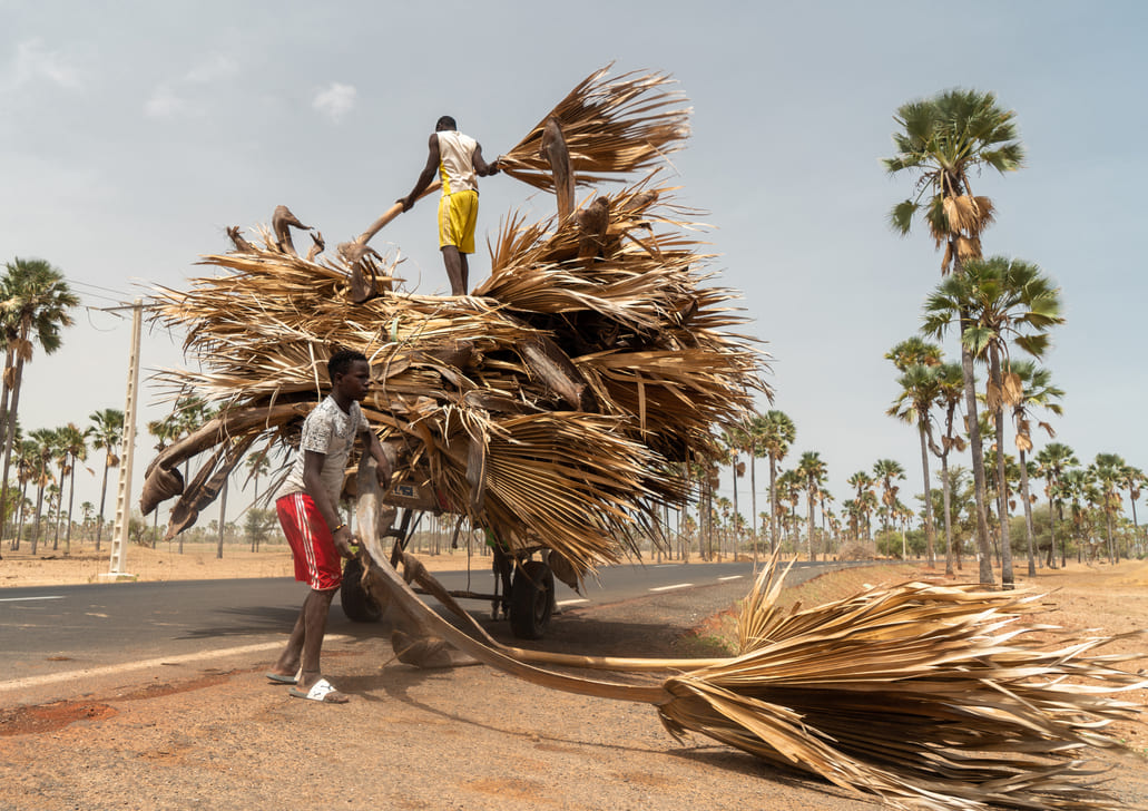 Quoi voir et quoi faire au Siné Saloum au Sénégal