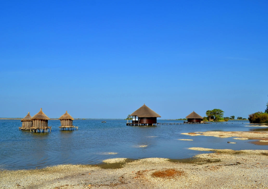 Quoi voir et quoi faire au Siné Saloum au Sénégal