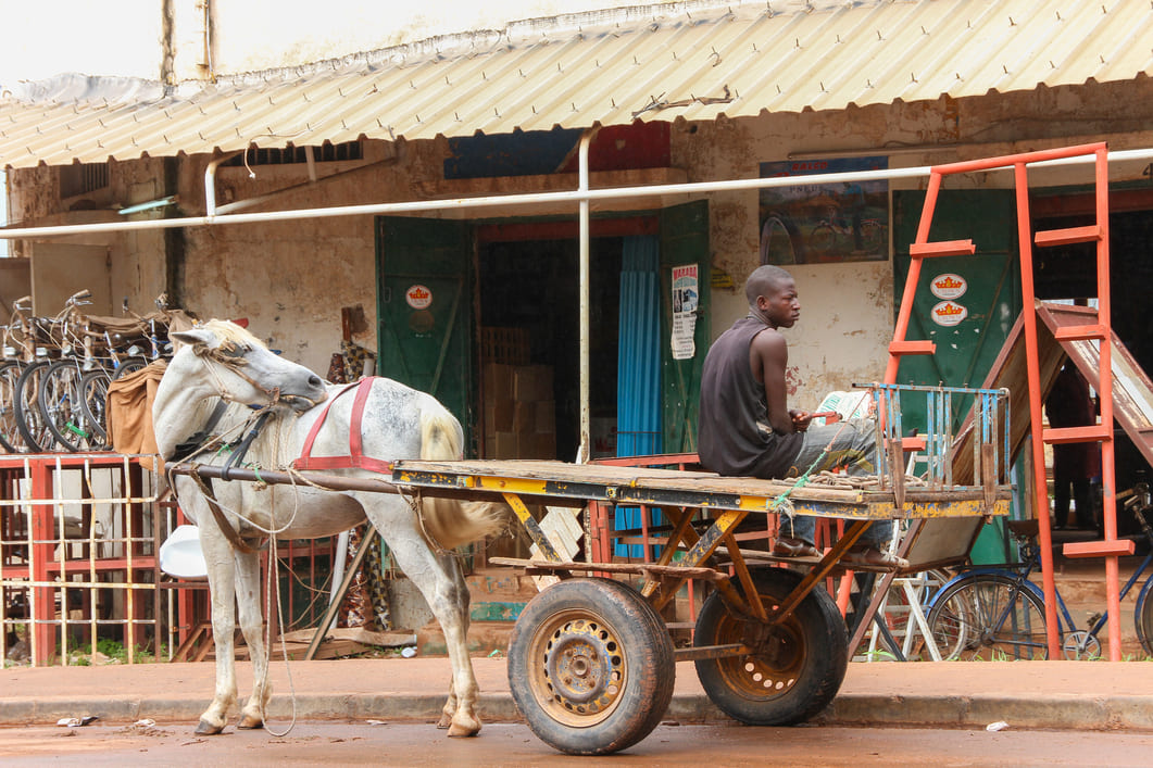 Quoi voir et quoi faire au Siné Saloum au Sénégal