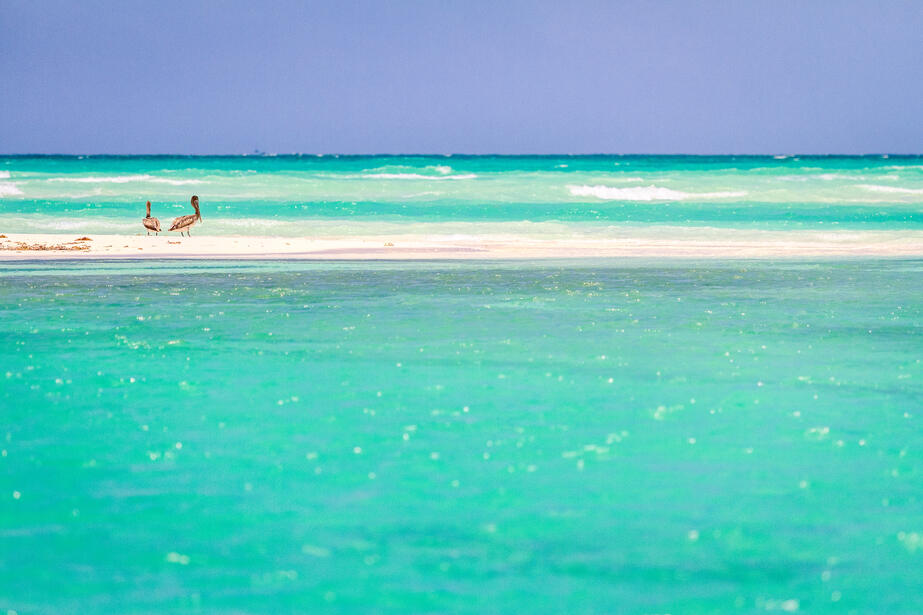 Que faire et que voir à Tulum dans la Riviera Maya ?