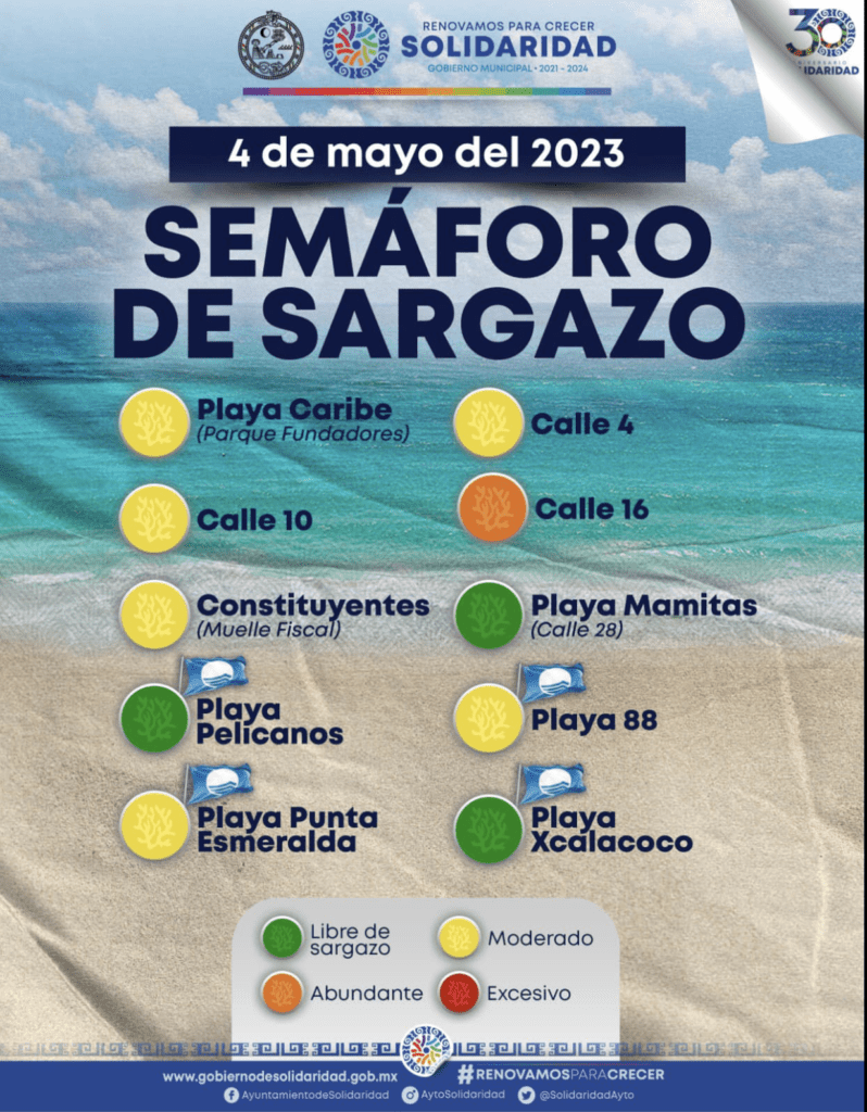 sargasses mexique mai 2023