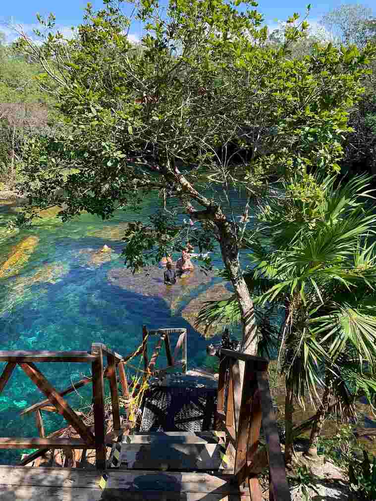 Le TOP 15 des plus beaux cenotes autour de Playa del Carmen