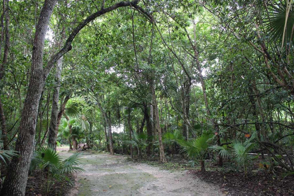 jardin botanique puerto morelos