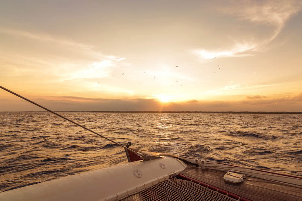 catamaran puerto morelos