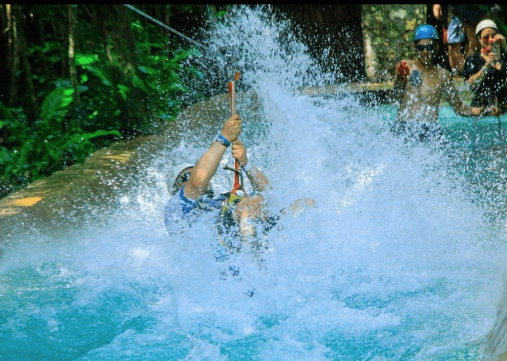 selvatica puerto morelos